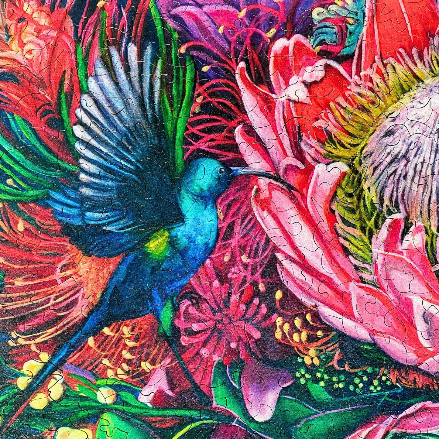 718 Pieces - Nectar - Jana Aspeling Original Artwork