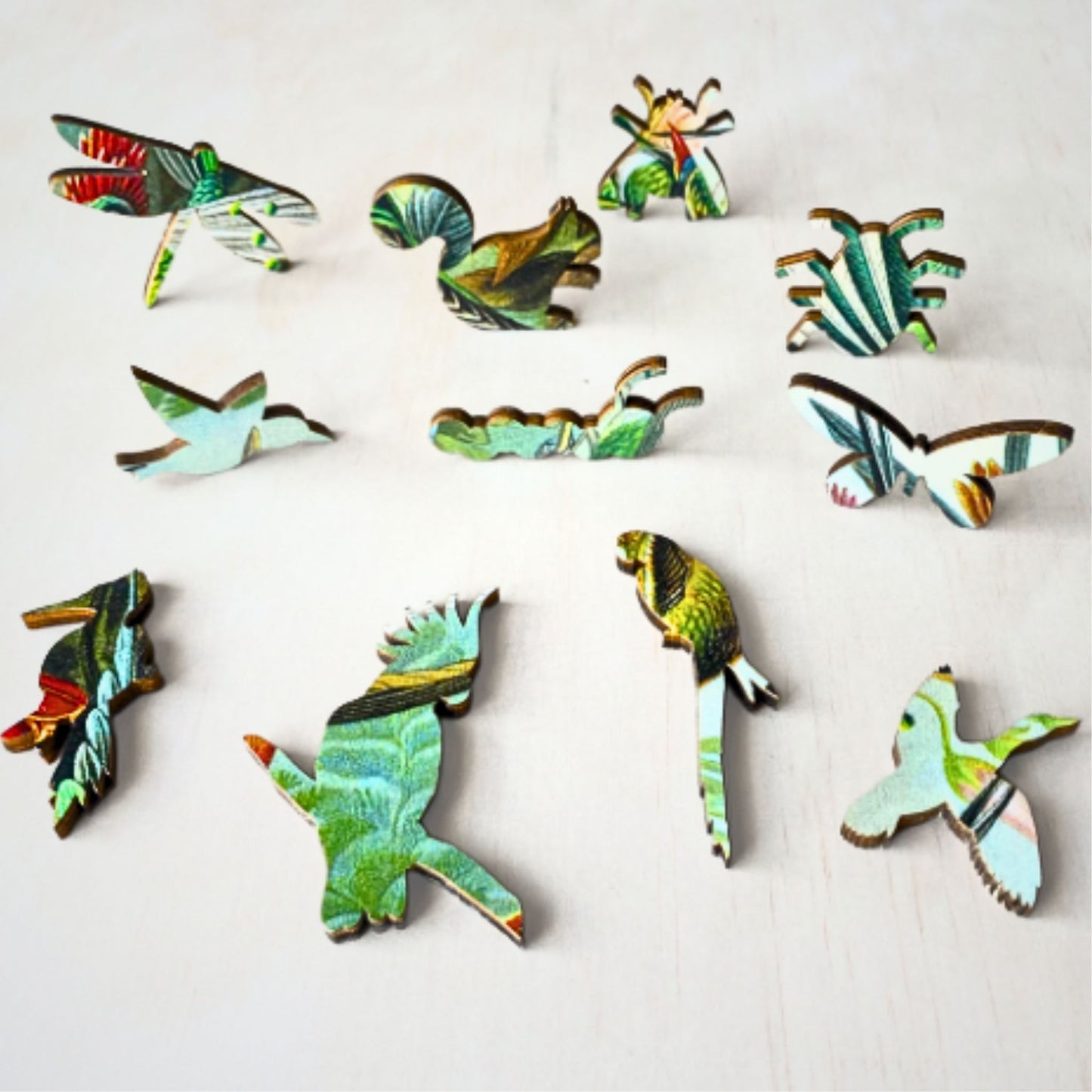 228 Pieces - Hummingbirds - Original Artwork Ernst Haeckel