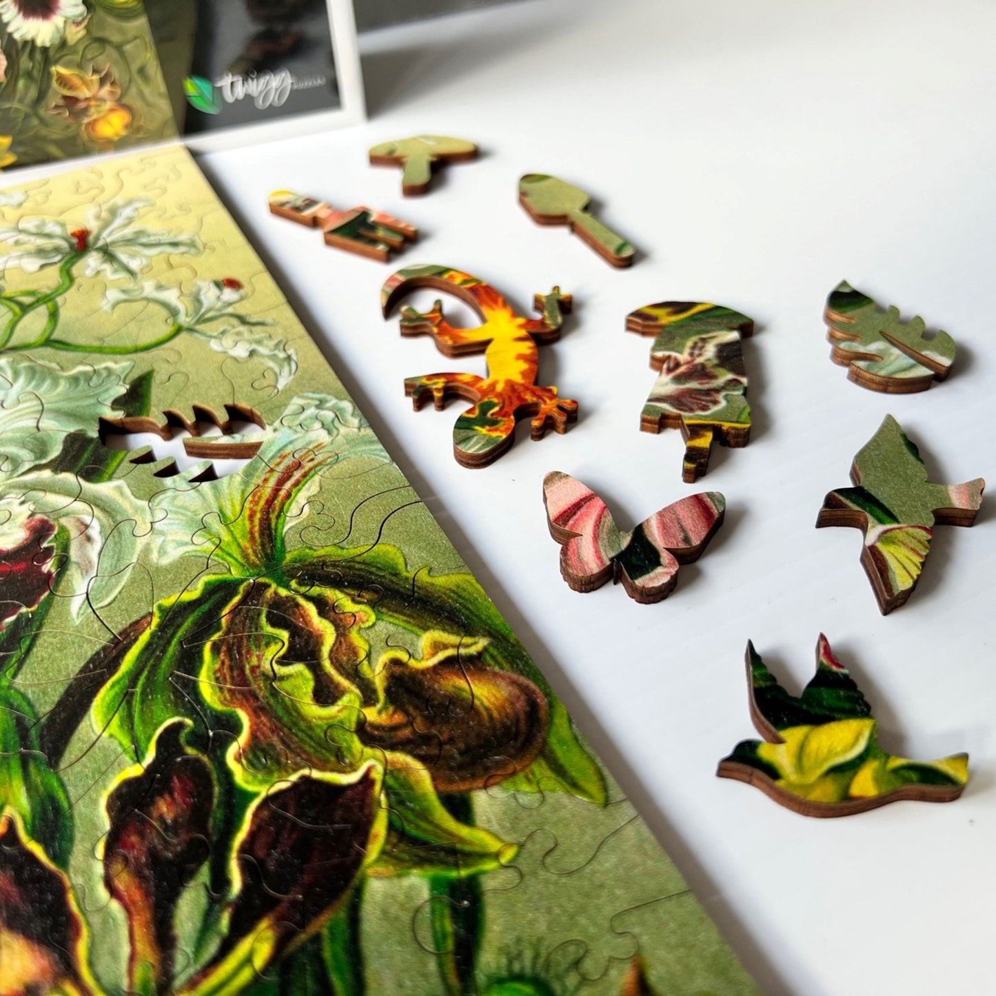 219 pieces - Orchids - Original Artwork from Ernst Haeckel