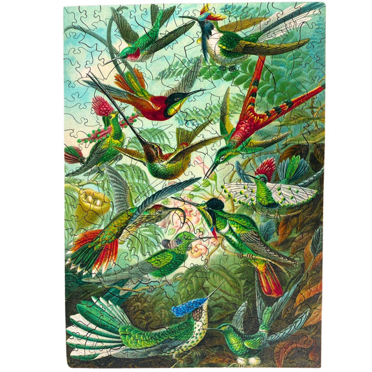 228 Pieces - Hummingbirds - Original Artwork Ernst Haeckel