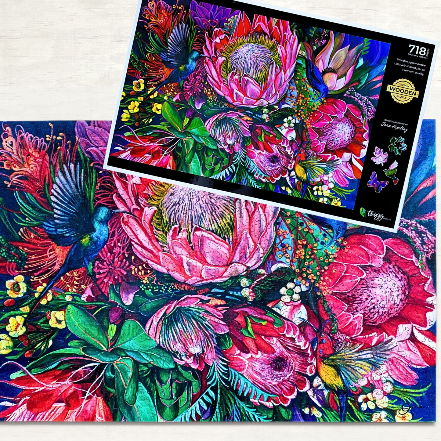 718 Pieces - Nectar - Jana Aspeling Original Artwork