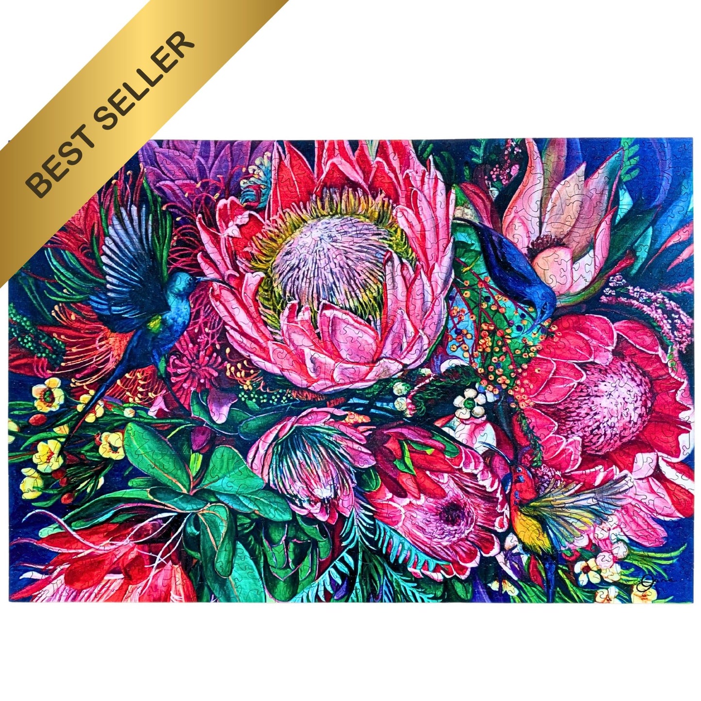 718 Pieces - Nectar - Jana Aspeling Original Artwork