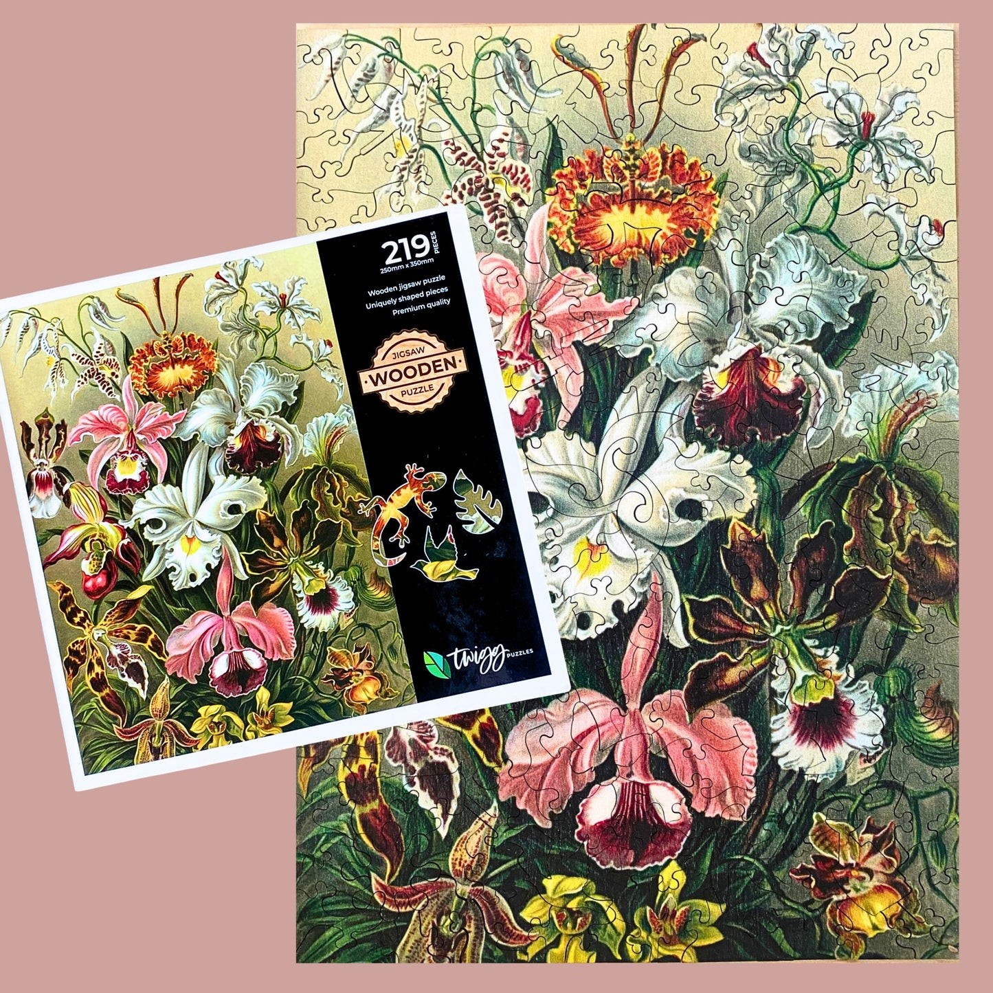 219 pieces - Orchids - Original Artwork from Ernst Haeckel