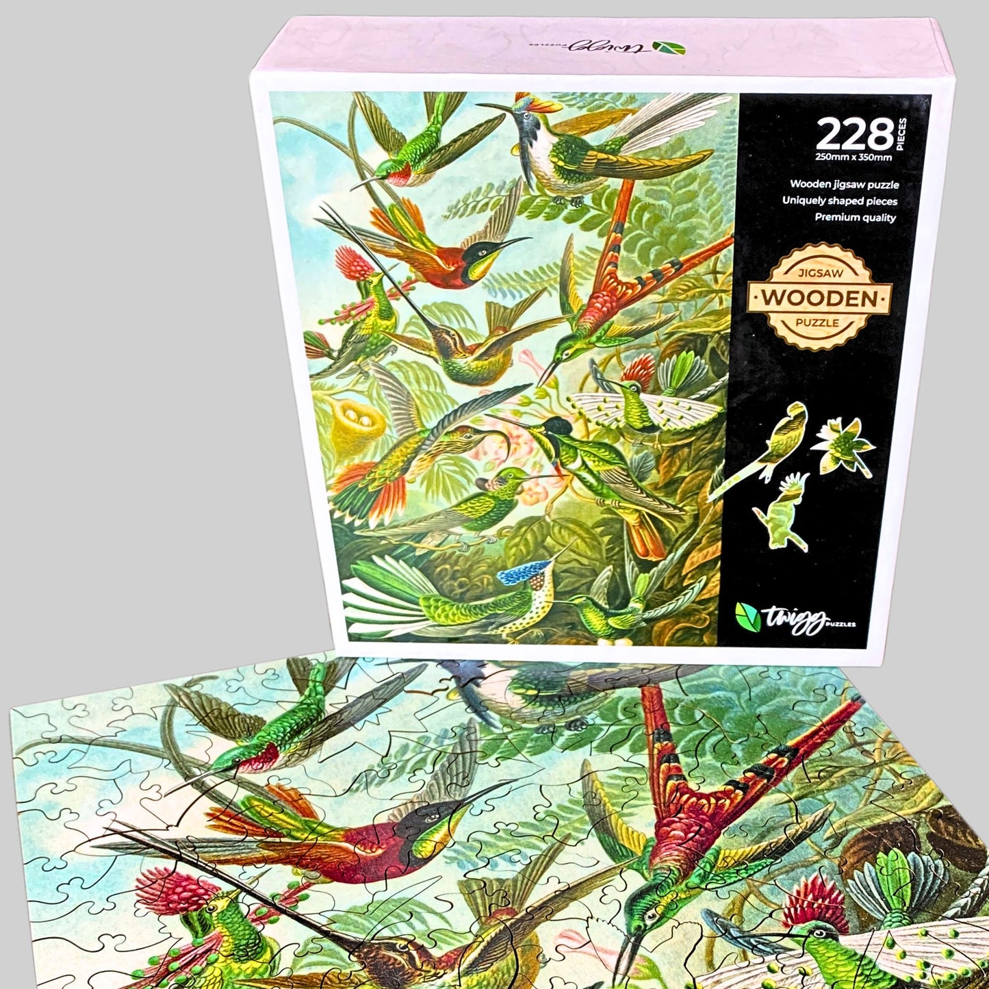 228 Pieces - Hummingbirds - Original Artwork Ernst Haeckel