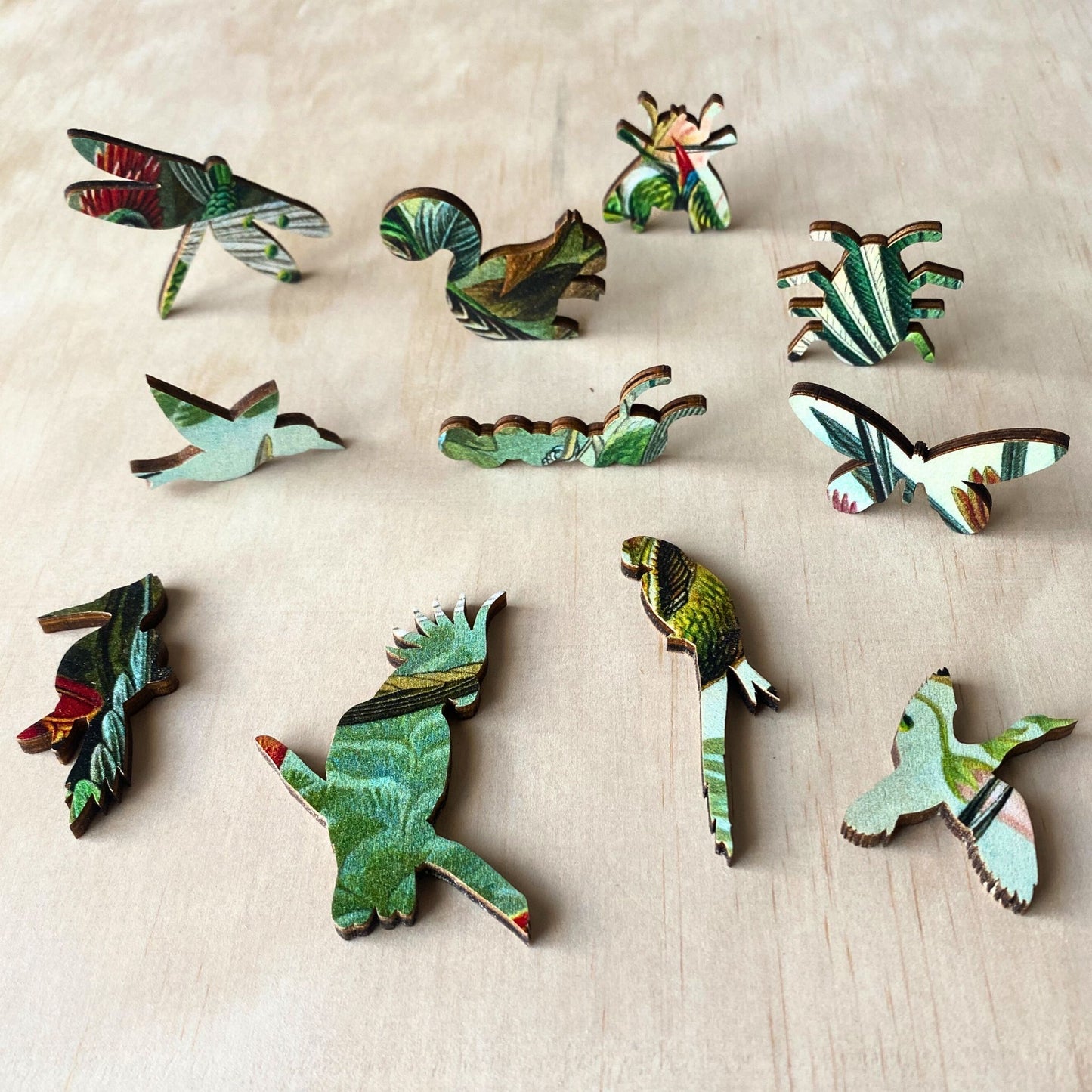 228 Pieces - Hummingbirds - Original Artwork Ernst Haeckel