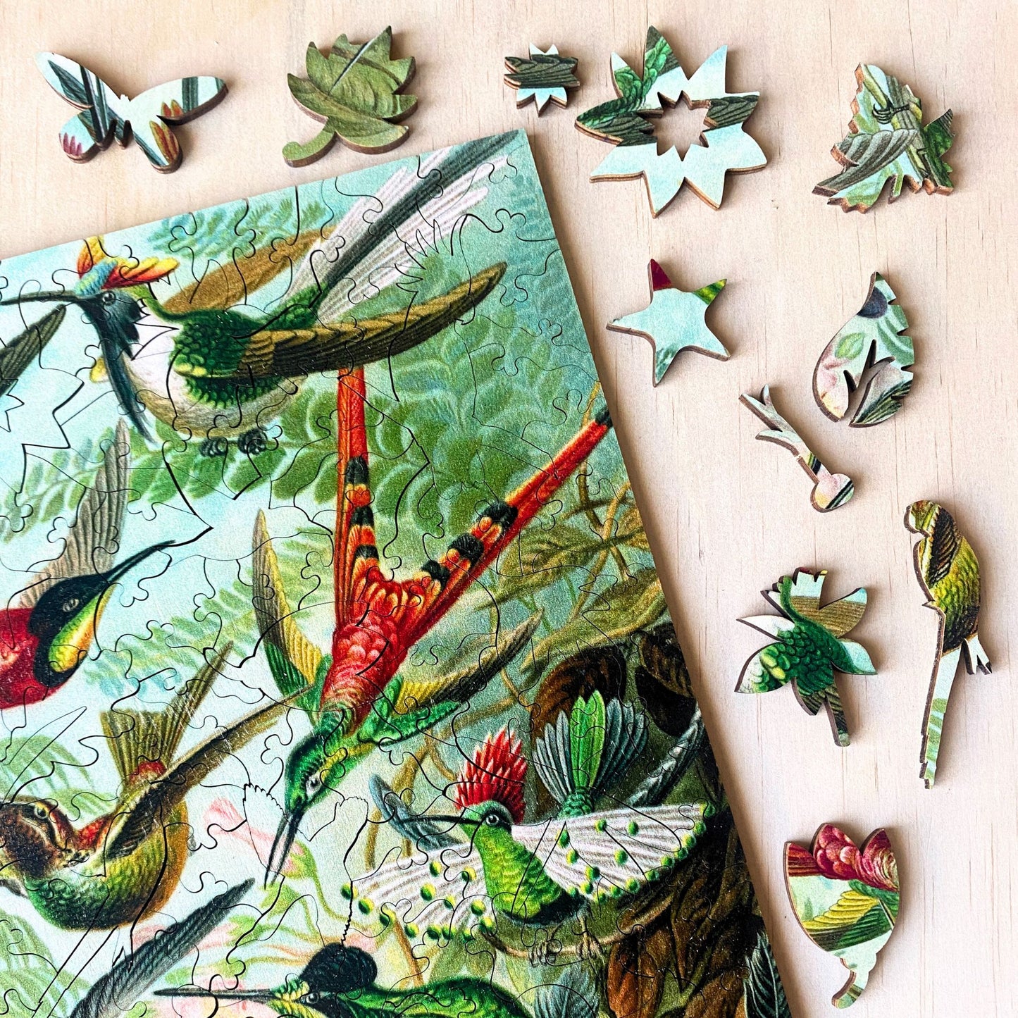228 Pieces - Hummingbirds - Original Artwork Ernst Haeckel