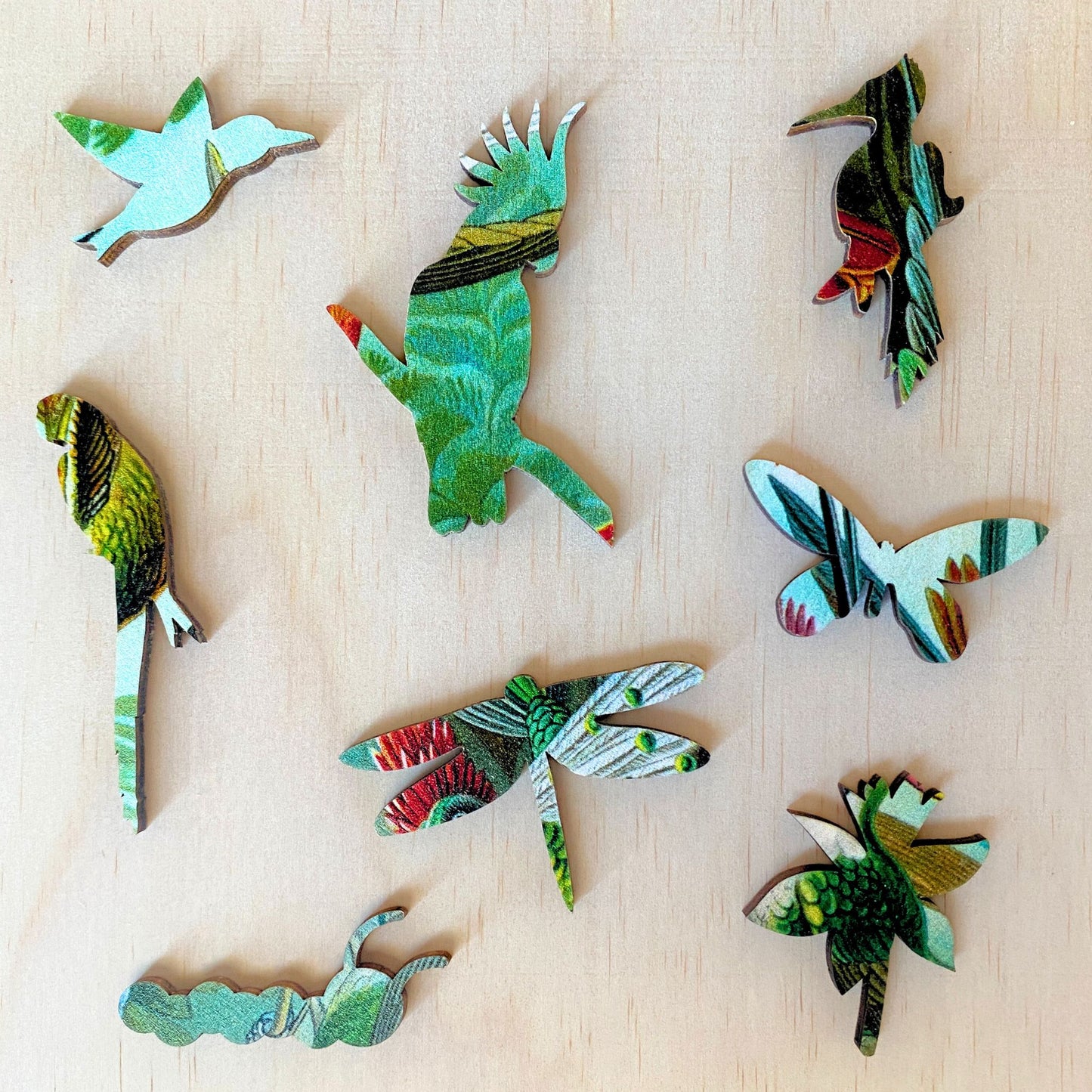 228 Pieces - Hummingbirds - Original Artwork Ernst Haeckel