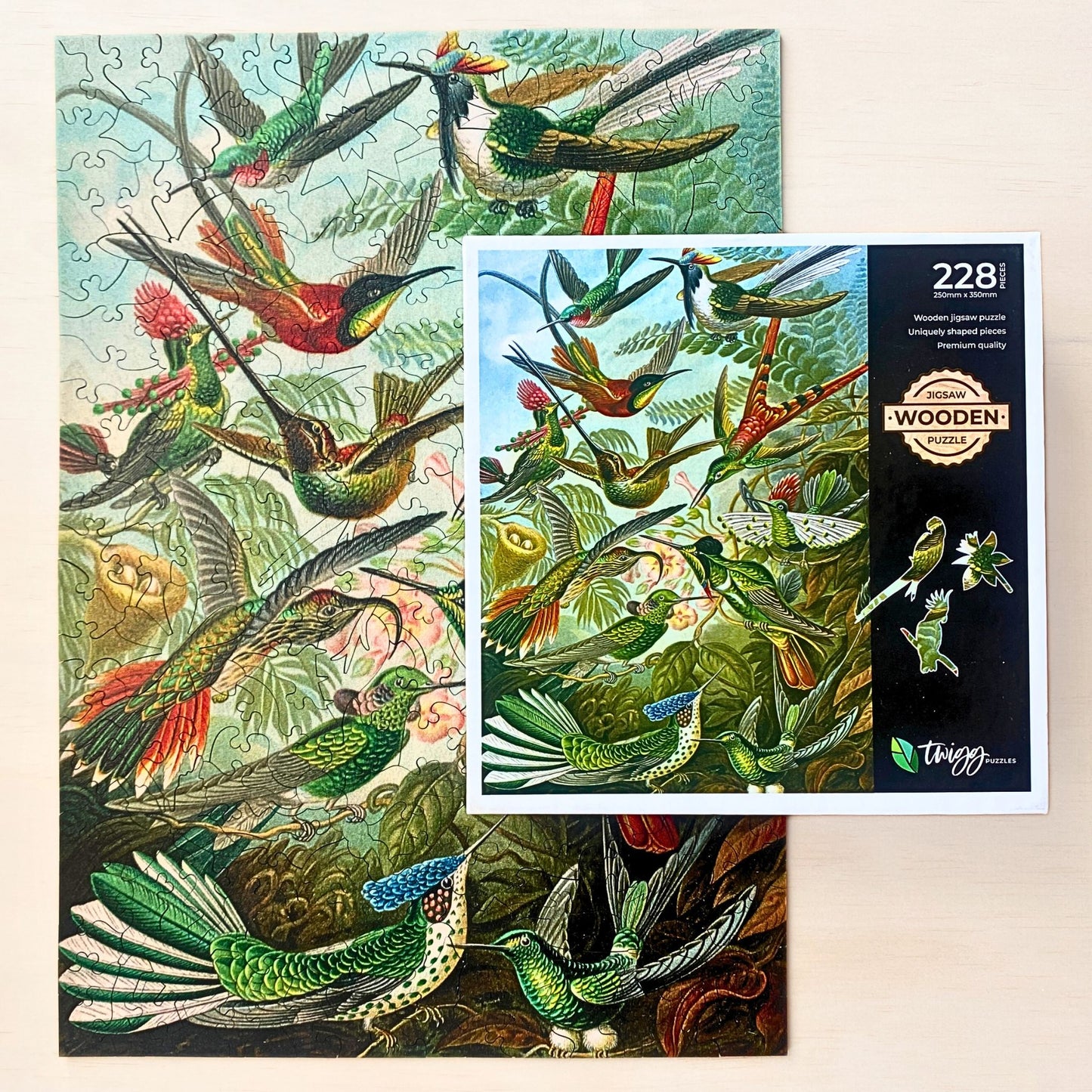 228 Pieces - Hummingbirds - Original Artwork Ernst Haeckel