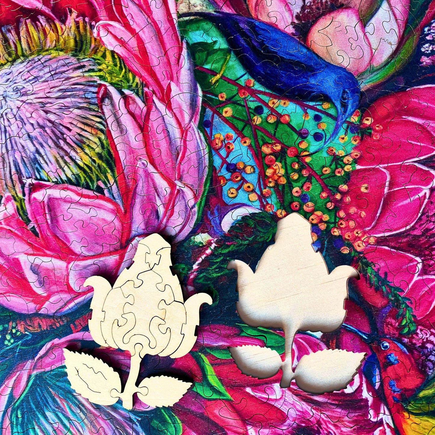 718 Pieces - Nectar - Jana Aspeling Original Artwork