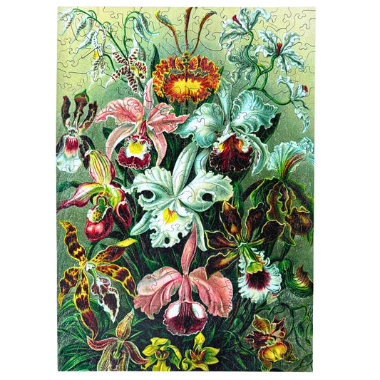 219 pieces - Orchids - Original Artwork from Ernst Haeckel