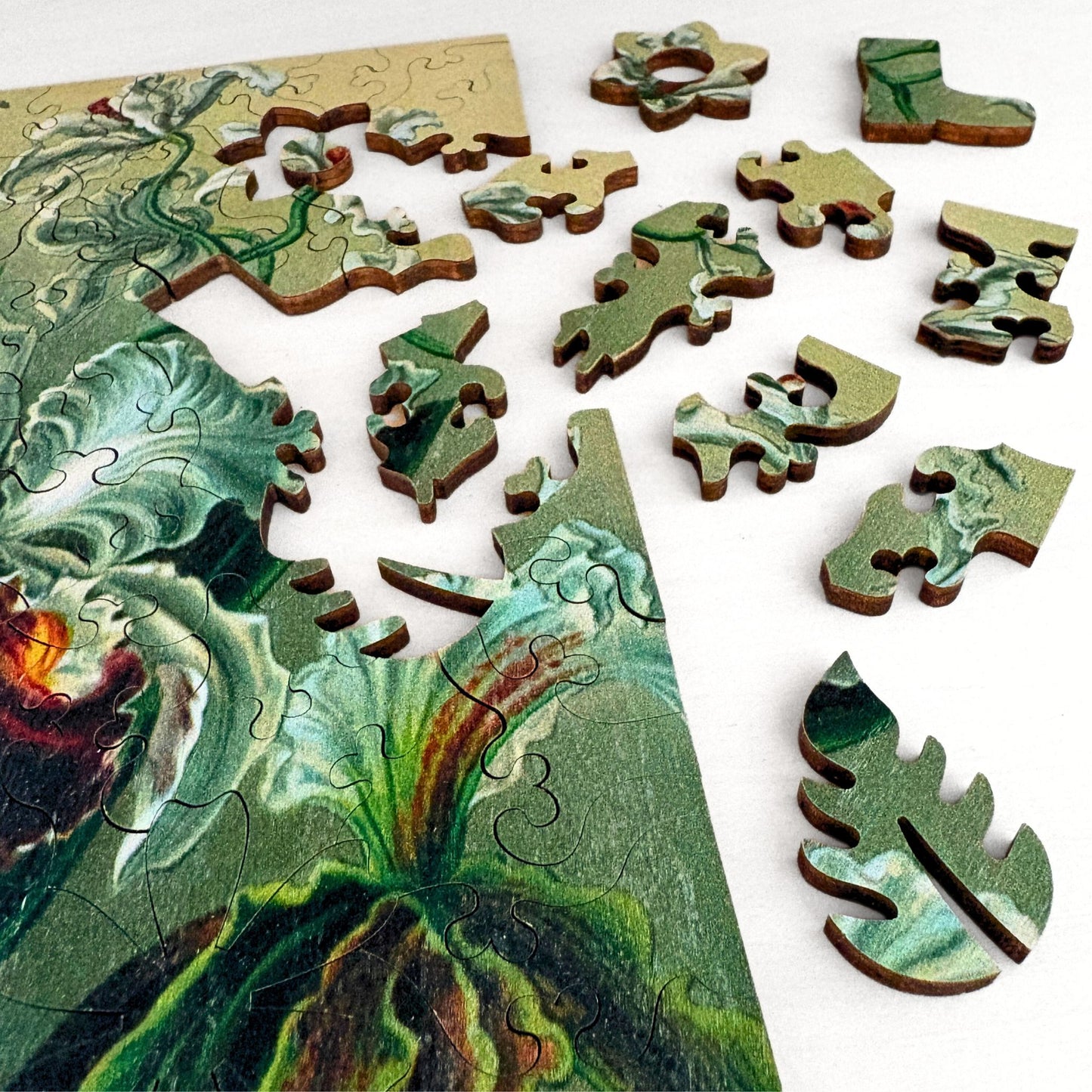 219 pieces - Orchids - Original Artwork from Ernst Haeckel