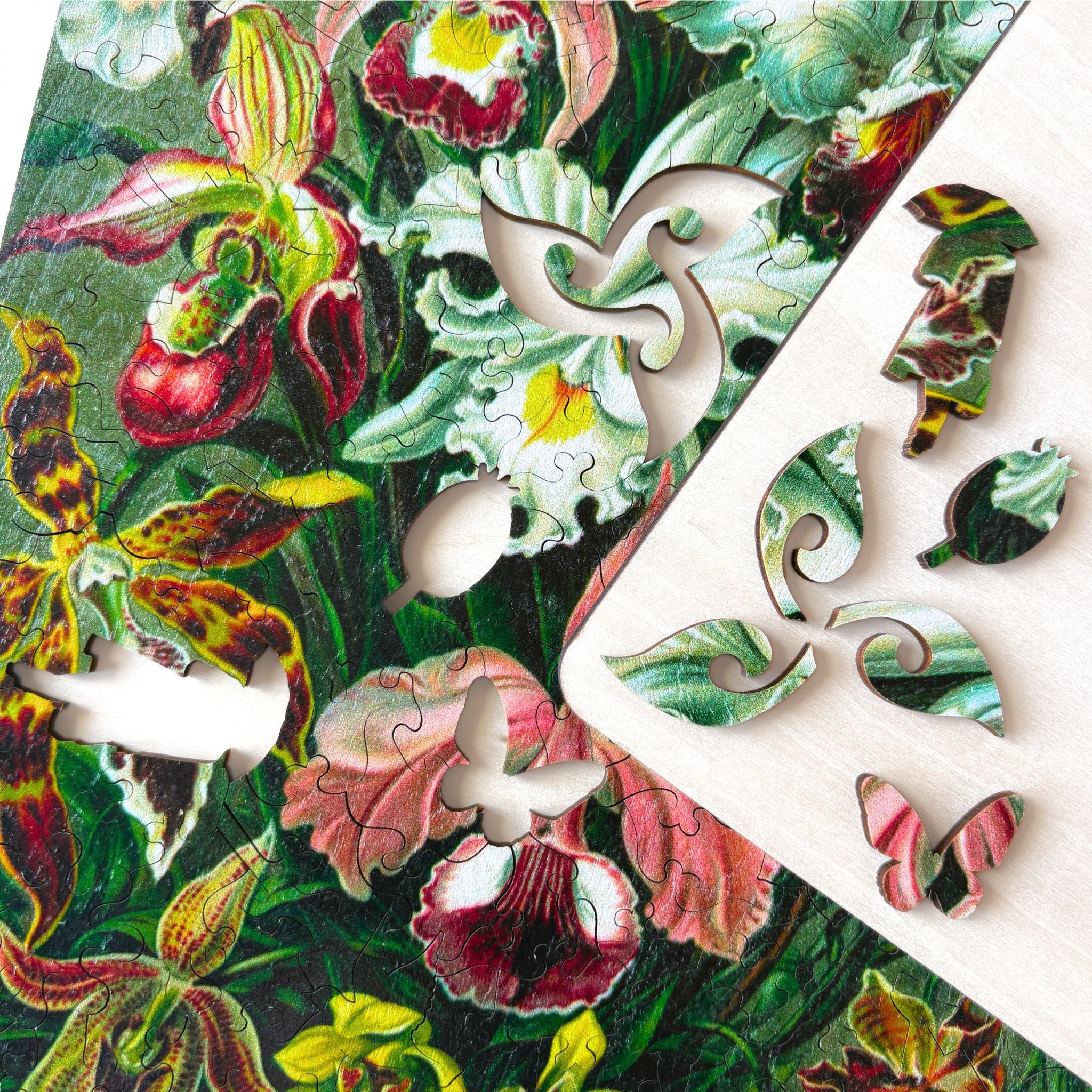 コレクション Nagano 1998 Wood Puzzle Orchid Wooden Jigsaw Puzzle | Twigg Puzzles