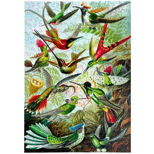 228 Pieces - Hummingbirds - Original Artwork Ernst Haeckel