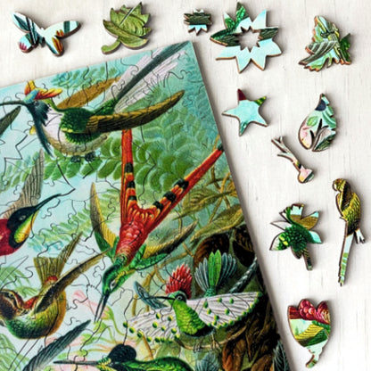 228 Pieces - Hummingbirds - Original Artwork Ernst Haeckel