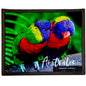 Rainbow Lorikeet -78 Pieces Framed Puzzle