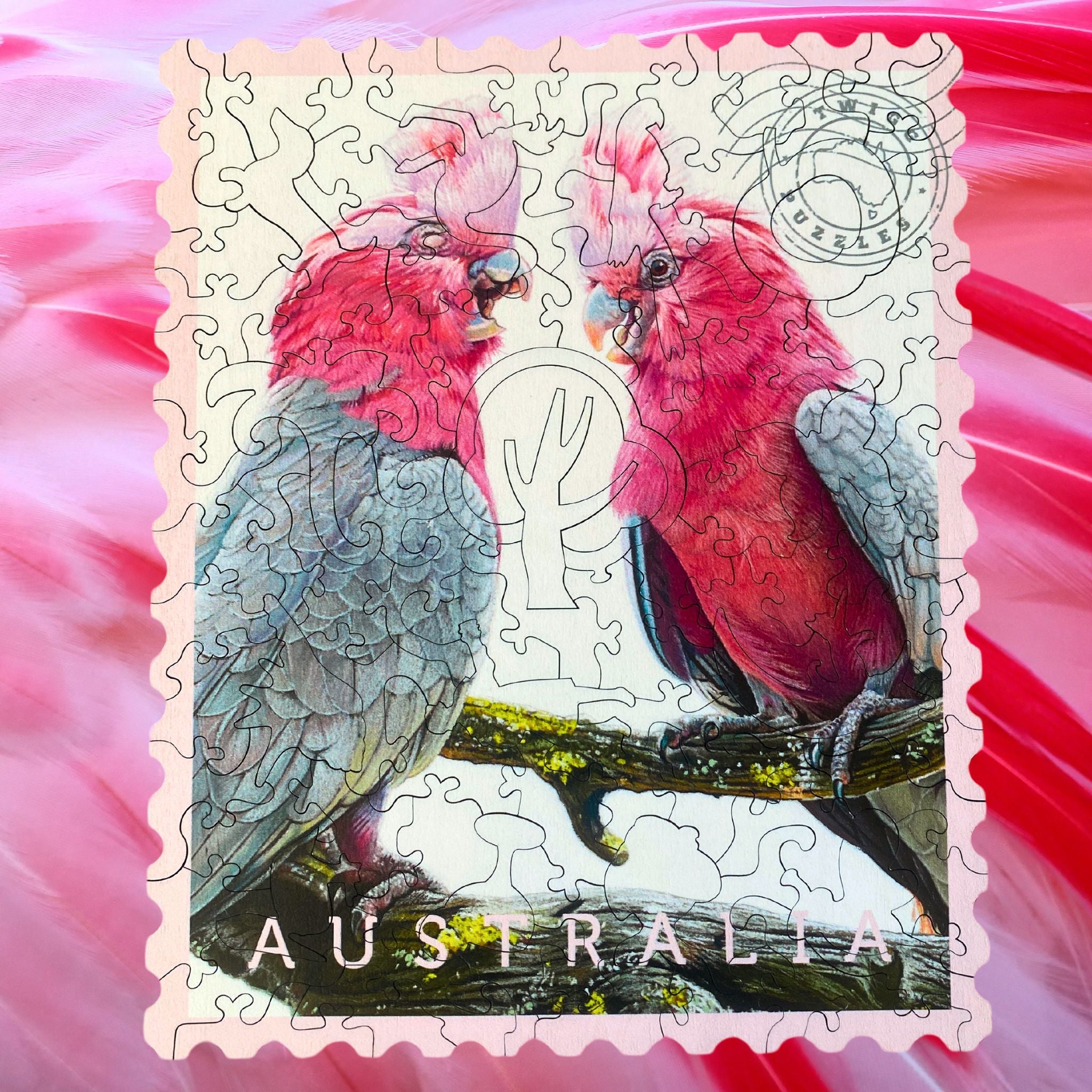 Galahs - hot Original Artwork